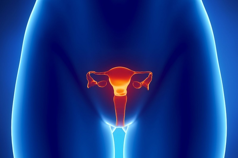 cancer col uterus